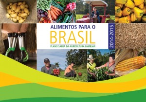 Plano Safra da Agricultura Familiar. Foto: Divulgação.